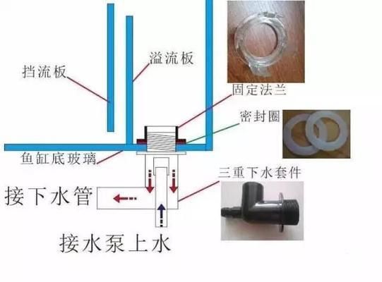 底濾魚缸怎么過濾水：底濾魚缸與生態(tài)缸的區(qū)別 魚缸風(fēng)水 第4張