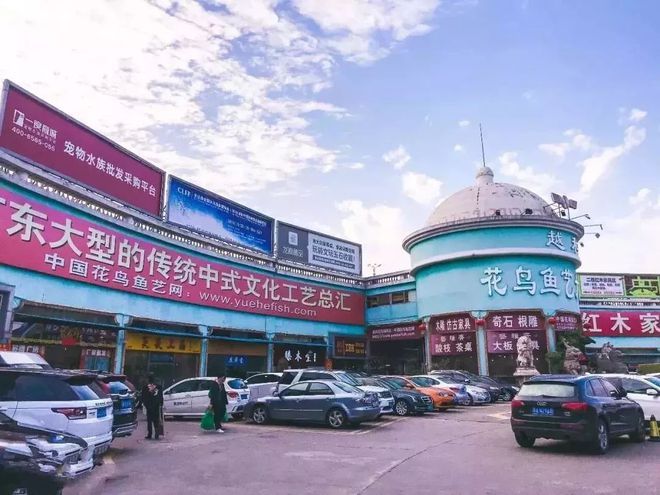 廣州百藝城芳村花鳥魚蟲市場：廣州百藝城芳村花鳥魚蟲市場已不在 廣州水族批發(fā)市場 第4張