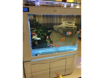 德克魚缸怎么樣值得購買嗎知乎：德克魚缸用戶反饋 魚缸風(fēng)水 第3張