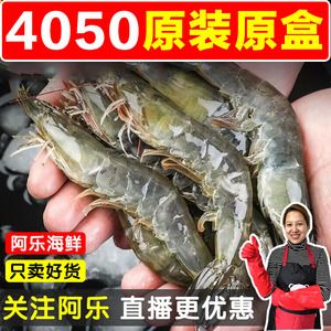 龍魚喂冷凍蝦行嗎怎么喂的：龍魚喂冷凍蝦行嗎 龍魚百科