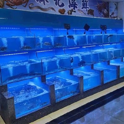 廣州魚缸哪里買最便宜又好看的：廣州芳村花鳥魚蟲市場(chǎng) 廣州水族批發(fā)市場(chǎng) 第4張