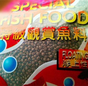 觀賞魚和魚食去什么地方批發(fā)：如何選擇觀賞魚批發(fā)市場 廣州水族批發(fā)市場 第4張