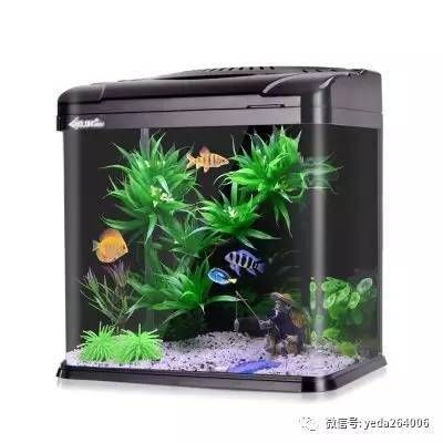 家里買哪種魚缸好：如何根據(jù)空間選擇適合的魚缸 魚缸風(fēng)水 第2張