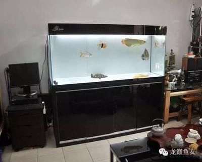 家里面有空魚缸是好是壞：家里有空魚缸好嗎空魚缸放在家里好不好360問答 魚缸風(fēng)水 第1張