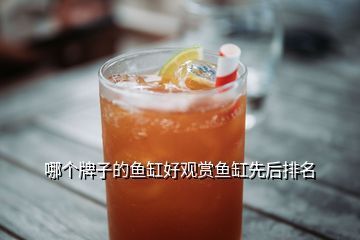 國內魚缸什么牌子好用：國內外魚缸品牌對比國內外魚缸品牌對比國內外魚缸養(yǎng)護指南 魚缸風水 第1張