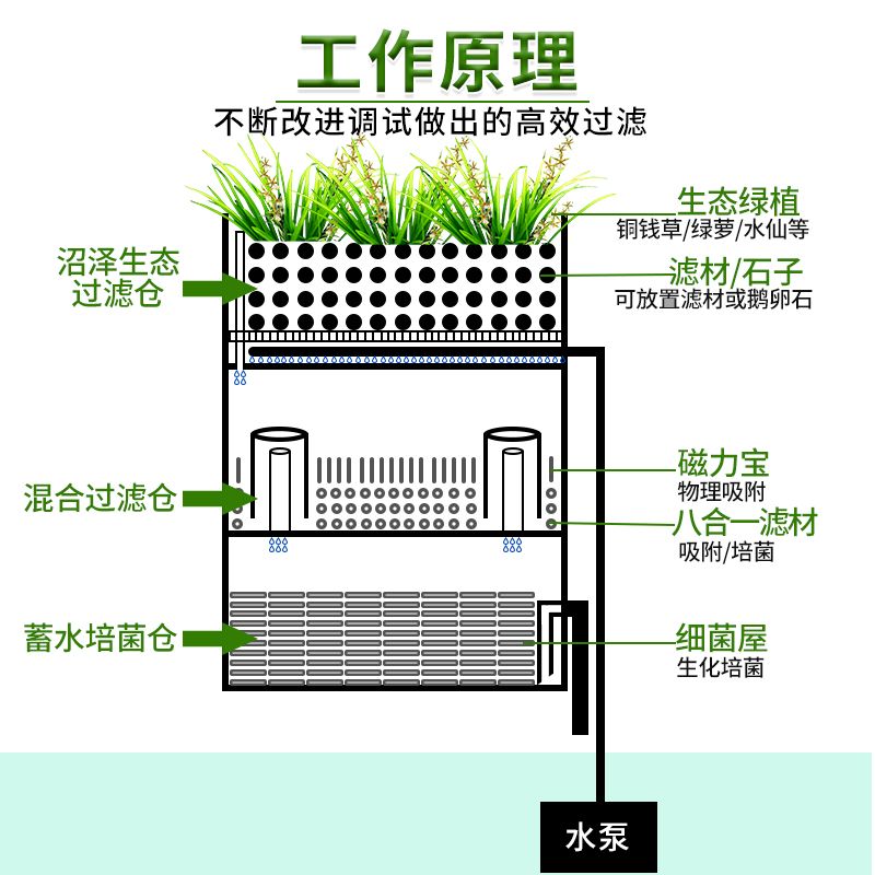 不花錢的魚缸濾材：魚缸濾材的種類及牌子推薦