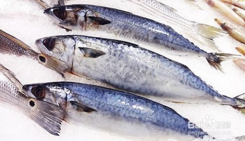 觀賞魚如何發(fā)快遞：觀賞魚快遞運(yùn)輸指南 魚缸風(fēng)水 第4張