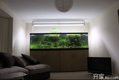 放魚缸要講風(fēng)水嗎為什么：魚缸擺放位置魚缸風(fēng)水作用 魚缸風(fēng)水 第3張