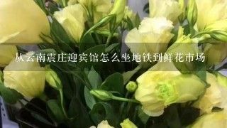 芳村花卉市場(chǎng)坐地鐵怎么走最方便