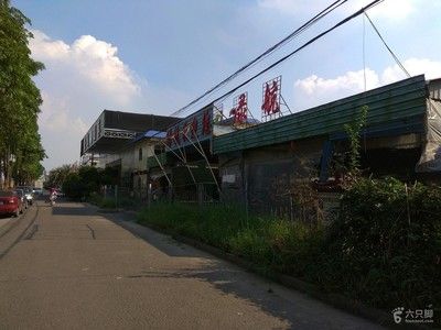 廣州芳村花鳥魚現(xiàn)在營業(yè)嗎：廣州芳村花鳥魚蟲市場(chǎng)怎么樣 廣州水族批發(fā)市場(chǎng) 第3張