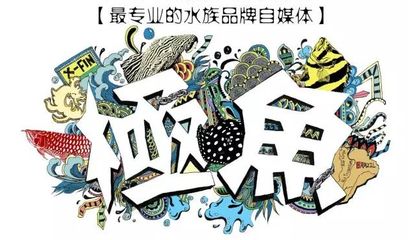 朋友圈發(fā)龍魚怎么說話的：在朋友圈分享關(guān)于龍魚的內(nèi)容時(shí) 龍魚百科 第2張