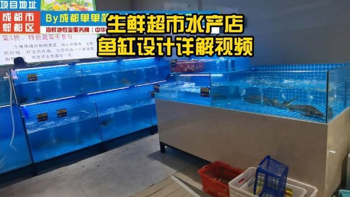 超市賣魚用的魚缸里面有什么：超市賣魚用的魚缸是為了保持魚類的鮮活狀態(tài)而設(shè)計(jì)的 魚缸百科 第1張