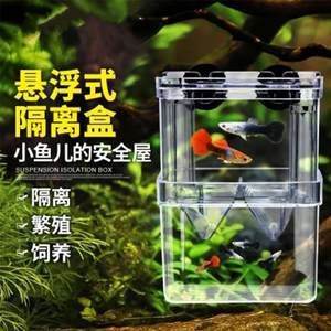 大魚缸隔離盒養(yǎng)小魚：大魚缸隔離盒養(yǎng)小魚需要注意水質(zhì)管理、水質(zhì)管理的要點 魚缸百科 第4張