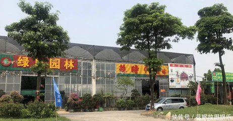 廣州芳村花鳥魚蟲新世界：廣州芳村花鳥魚蟲新世界—市場(chǎng)解決方案