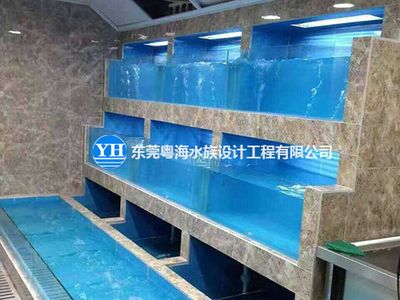 定做海鮮池魚缸廠家：海洋生態(tài)保護(hù)海洋生態(tài)保護(hù)的重要性海洋生態(tài)保護(hù)的重要性 魚缸百科 第1張