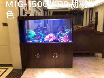 玻璃魚缸怎么清洗消毒：如何清洗和消毒玻璃魚缸 魚缸百科 第1張