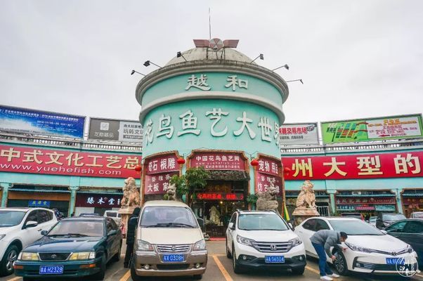 芳村花鳥市場在哪里有接送小孩的：廣州花鳥魚蟲市場的歷史歷史演變 廣州水族批發(fā)市場 第1張