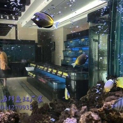 飯店海鮮魚缸設計尺寸：飯店海鮮魚缸的設計尺寸 魚缸風水 第3張