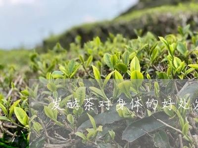 家里放幾個(gè)魚缸好不好呀 魚缸風(fēng)水 第1張