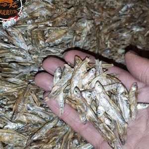 龍魚 飼料 魚干：龍魚的飼料選擇 龍魚百科 第2張