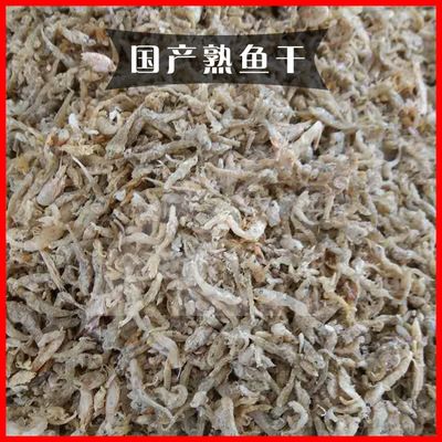 龍魚 飼料 魚干：龍魚的飼料選擇 龍魚百科 第3張