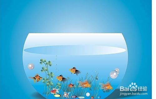 大魚缸怎么安裝過濾器：大魚缸過濾器安裝方法 魚缸百科 第2張