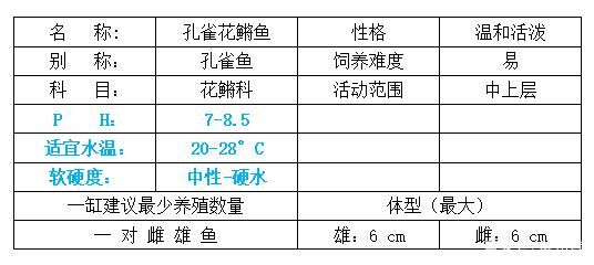 折騰更健康：今天把藍缸改成白色,麥田里的茶民評論：干凈了 觀賞魚論壇 第3張