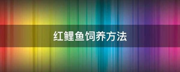 紅鯉魚魚缸放什么：紅鯉魚怎么養(yǎng)紅鯉魚的飼養(yǎng)方法 魚缸風(fēng)水 第3張