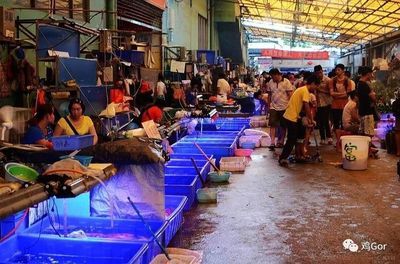 芳村花鳥魚蟲市場萬科：廣州芳村花鳥魚蟲市場即將大變身 廣州水族批發(fā)市場 第1張