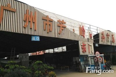 廣州芳村花卉批發(fā)市場在哪里：廣州花卉批發(fā)市場 廣州水族批發(fā)市場 第3張