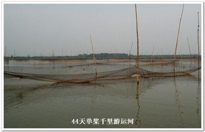 家里能放三個(gè)魚缸嗎：家中魚缸擺放魚缸數(shù)量不同類型的養(yǎng)護(hù)方法不同類型的魚缸 魚缸風(fēng)水 第1張