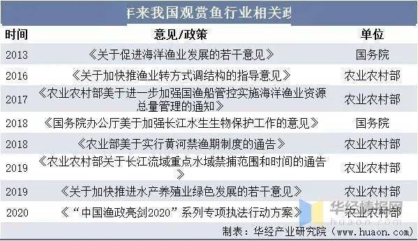 觀賞魚行業(yè)如何年賺百萬：觀賞魚疾病防治策略