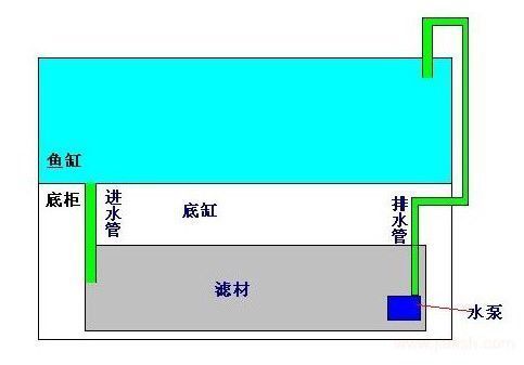 側(cè)濾魚缸怎么改上濾水泵：側(cè)濾魚缸改上濾水泵的基本步驟 魚缸百科 第2張