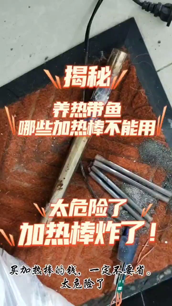 加熱棒炸了？這樣的加熱棒不要用：你們用的什么加熱棒 觀賞魚論壇