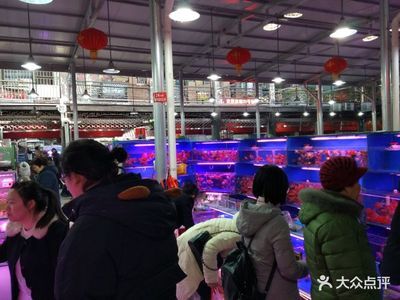 芳村魚鳥市場搬遷到什么地方：廣州芳村花鳥魚蟲市場搬遷 廣州水族批發(fā)市場 第4張