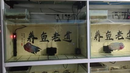 家里的魚缸突然漏水預示著什么：家里的魚缸突然漏水怎么辦？