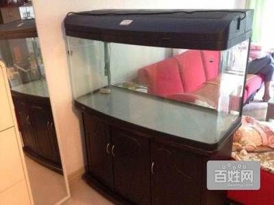 廣州買魚缸去哪里便宜實(shí)惠點(diǎn)：尋找便宜實(shí)惠的魚缸購買地點(diǎn)時 廣州水族批發(fā)市場 第1張