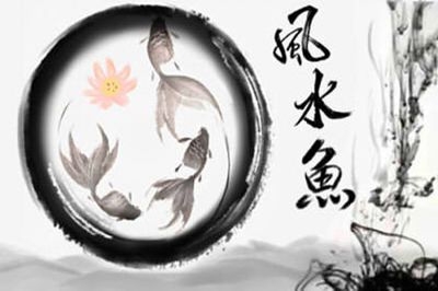 家里的魚(yú)缸應(yīng)該放在哪個(gè)位置：家庭魚(yú)缸擺放風(fēng)水學(xué) 魚(yú)缸風(fēng)水 第3張