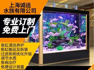 搬運(yùn)魚缸找哪家公司好一點(diǎn)：如何選擇搬家公司 魚缸百科 第4張