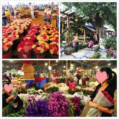 芳村花卉市場晚上開嗎：廣州芳村花卉市場在晚上是開放的