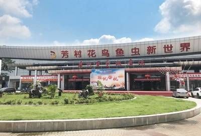 廣州百藝城屬于什么街道社區(qū)：廣州百藝城27篇智腦大模型提煉5個關(guān)鍵詞