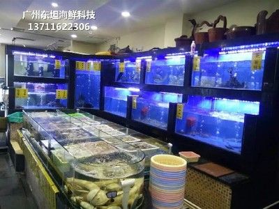 廣州賣魚缸的地方在哪兒：廣州哪里可以買到魚缸？