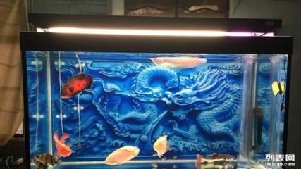 廣州魚缸哪里買最便宜：廣州水族市場探秘