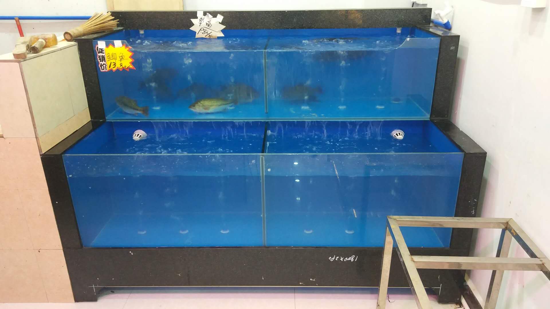 廣州買魚缸去哪里買好一點(diǎn)的：廣州水族用品市場分析廣州水族用品市場分析廣州特色水族館 廣州水族批發(fā)市場 第4張