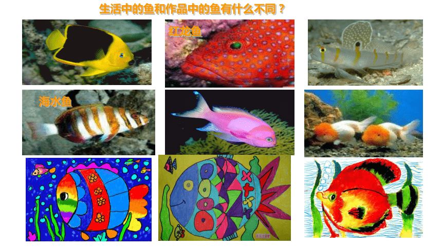 紅龍魚海水魚怎么養(yǎng)殖