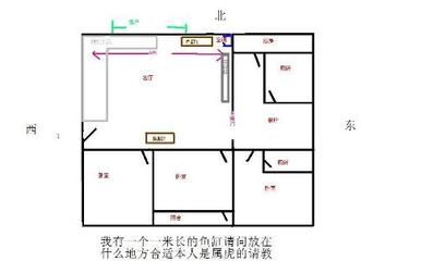 家里的魚缸放在哪個(gè)位置好：家里魚缸的擺放位置 魚缸風(fēng)水 第1張