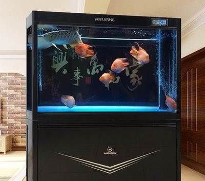 廣州魚缸制作廠家有哪些品牌好：廣州魚缸制作公司 廣州水族批發(fā)市場 第2張