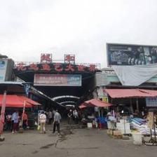 芳村花鳥魚市場搬哪里了：廣州芳村花鳥魚蟲市場已經(jīng)搬遷至荔灣區(qū)芳村花鳥魚蟲市場 廣州水族批發(fā)市場 第4張