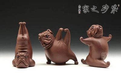 茶寵能不能放魚(yú)缸里：茶寵是否能放魚(yú)缸里，茶寵能否放魚(yú)缸里取決于多個(gè)因素 魚(yú)缸百科 第1張