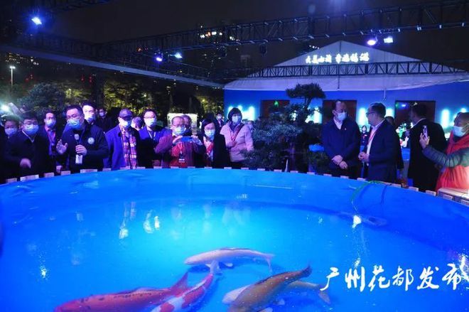 廣州觀賞魚2021：廣州觀賞魚市場(chǎng)在2021年呈現(xiàn)出多元化、專業(yè)化發(fā)展趨勢(shì)